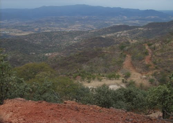 Panorama realito